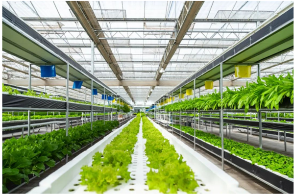 智慧农业L解决Ҏ